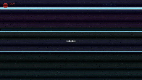 周末随拍记录 - 本地交友 原创视频
